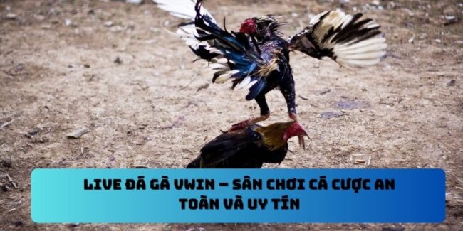 Live Đá Gà